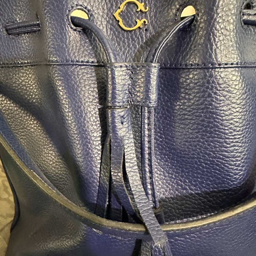 C Wonder Blue Pebbled Leather Drawstring Bucket Bag with Gold Logo - Picture 7 of 7